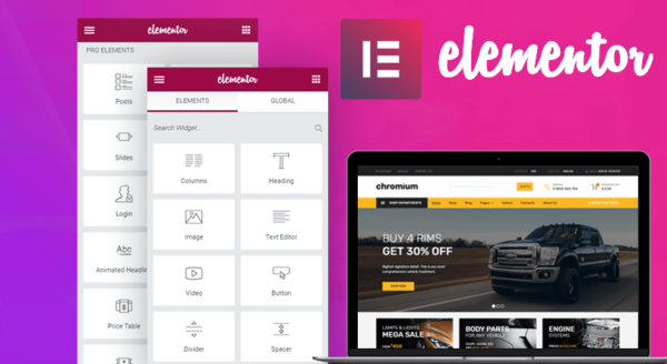 Elementor Pro Versão 3.23.3 - Image 2