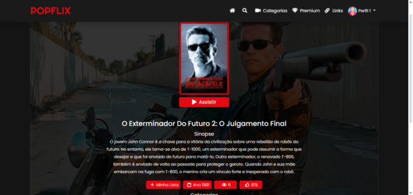 Script site de filmes estilo Netflix ( PHP 8.1) - Image 4